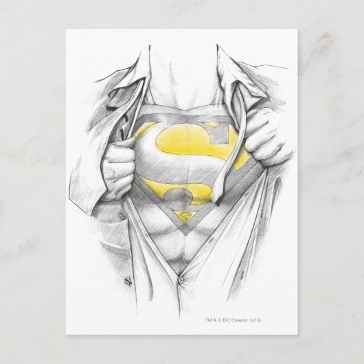 Sketched Chest Superman Logo Briefkaart (Voorkant)