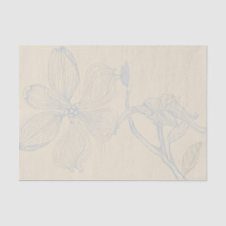 Sketched Dogwood Branch Lg Scale on Parchment Tissuepapier
