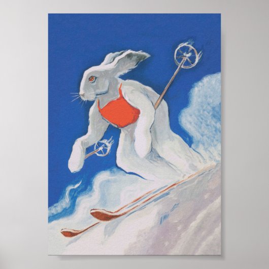 Ski Bunny Poster (Voorkant)