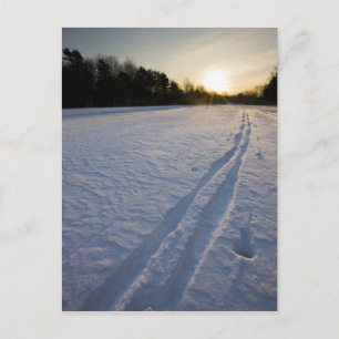 Ski-sporen bij het Willowbrook Farm Preserve in Briefkaart
