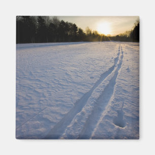 Ski sporen bij het Willowbrook Farm Preserve in Magneet