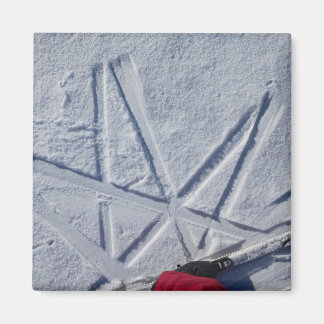 Ski Star Magnet Magneet