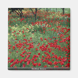 Skiathos, Griekenland Magneet