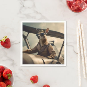  Skies: De Kangoeroe Pilot In Het Oude Vliegtuig Servet