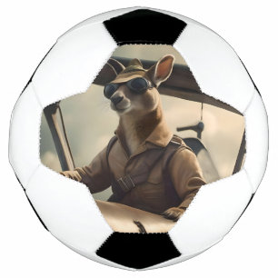 Skies: De Kangoeroe Pilot In Het Oude Vliegtuig Voetbal