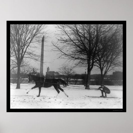 Skiing Behind Horse Washington, DC 1919 Poster (Voorkant)