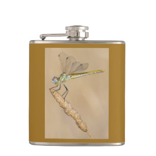 Skimmer Libel Insect Vrouwelijk (CC BY 4.0) Fles Heupfles
