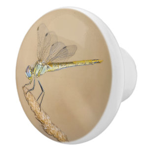 Skimmer Libel Insect Vrouwelijk (CC BY 4.0) Keramische Knop