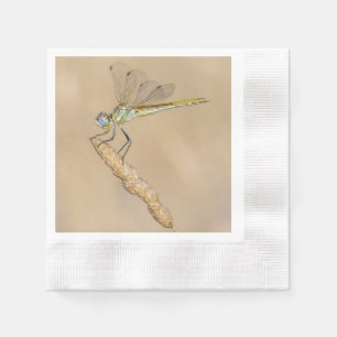 Skimmer Libel Insect Vrouwelijk (CC BY 4.0) Servet