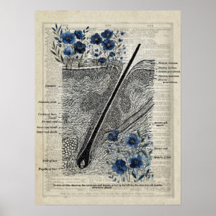 Skin Anatomy Blue Floral Dictionary Art de Poster