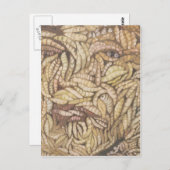 "Skin Deep" Briefkaart (Voorkant / Achterkant)