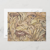 "Skin Deep" Briefkaart (Voorkant / Achterkant)