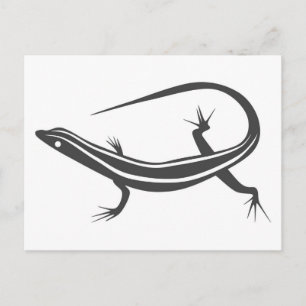 Skink lizard postcard briefkaart