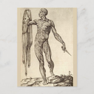Skinned Alive Briefkaart
