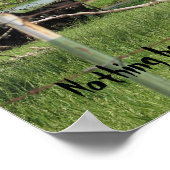 Skinny Dipping Koeien Poster (Hoek)