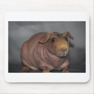 Skinny Pig Muismat