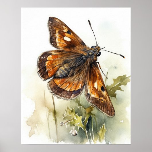 Skipper Butterfly Art Print Poster (Voorkant)