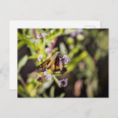 Skipper Butterfly Feestdagenkaart (Voorkant / Achterkant)