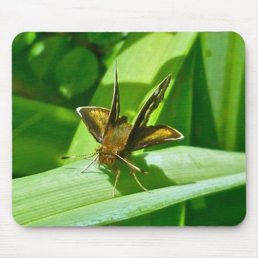 Skipper Butterfly Mousepad Muismat (Voorkant)