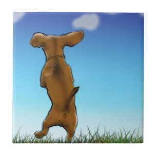 Skipping Doxie Tegeltje