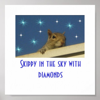 Skippy in de lucht met diamanten Poster