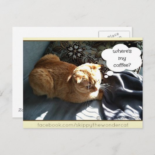 Skippy Waar is mijn koffie Briefkaart (Voorkant / Achterkant)