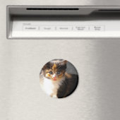 Skittles Magnet Magneet (Insitu (Vaatwasser))