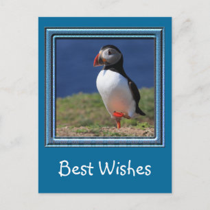 Skomer Island Puffins Briefkaart