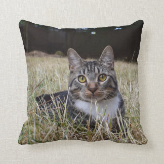 Skooter Pillow Kussen