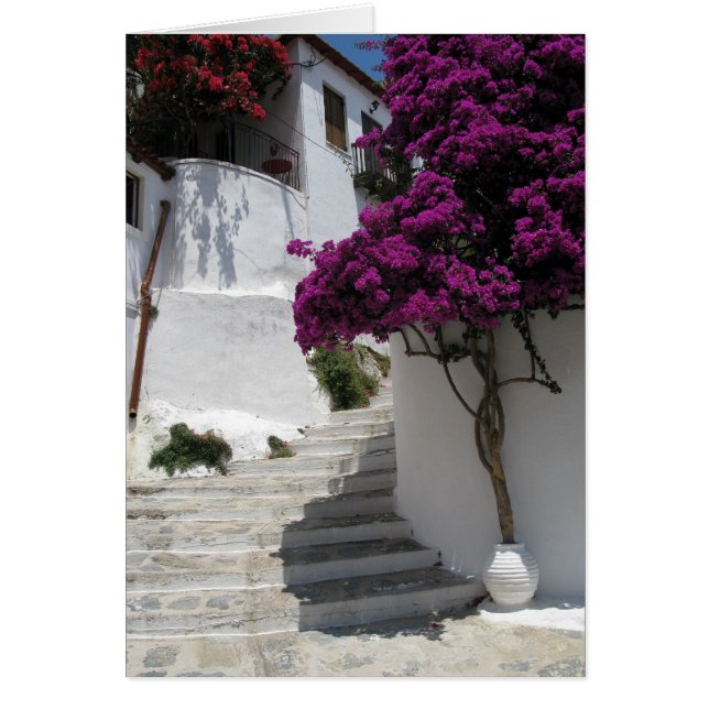 Skopelos Griekenland (Voorkant)