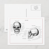 Skull Briefkaart (Voorkant / Achterkant)