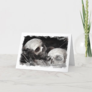 Skull Buddies Kaart