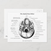 Skull Details Side Briefkaart (Voorkant / Achterkant)