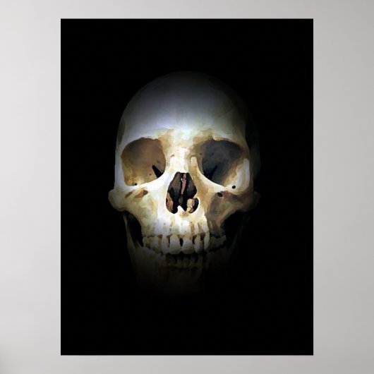 Skull Fantasy Art Rock Punk Heavy Metal Poster (Voorkant)