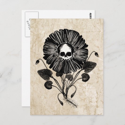 Skull Flower Briefkaart (Voorkant / Achterkant)