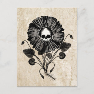 Skull Flower Briefkaart