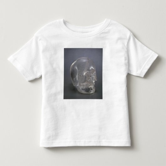 Skull Kinder Shirts (Voorkant)