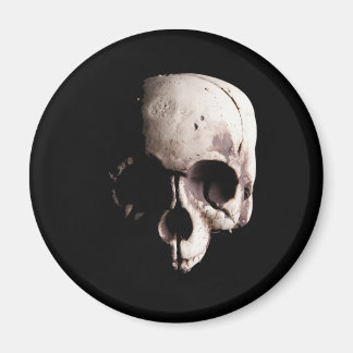 Skull Magneet