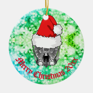 Skull MRI Santa hat "Kerstmis 20xx" Keramische O Keramisch Ornament