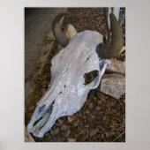 Skull Poster (Voorkant)