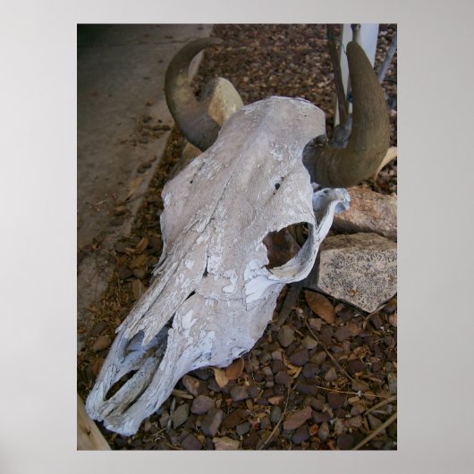 Skull Poster (Voorkant)