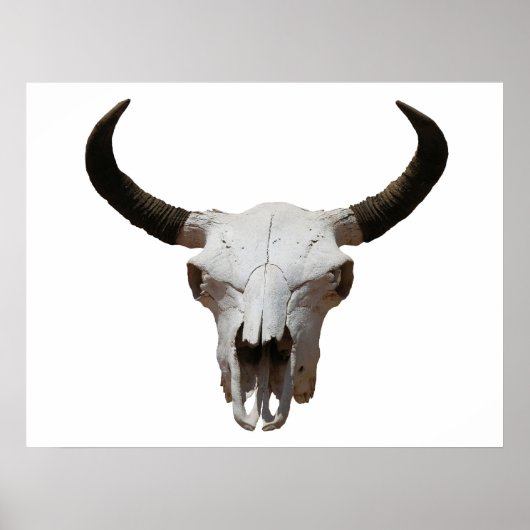 Skull Poster (Voorkant)
