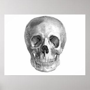 Skull Sketch perfect voor Halloween party-behoefte Poster