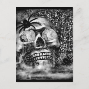Skull-Spider en Roos-2012 Briefkaart