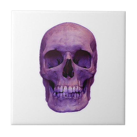 Skull Tegeltje (Voorkant)