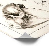 Skulls of Monkeys Veterinary Anatomy Print (Hoek)