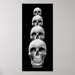 Skulls - verticaal poster