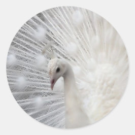 Skully Top Fun Ronde Sticker