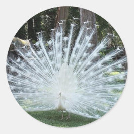 Skully Top Fun Ronde Sticker