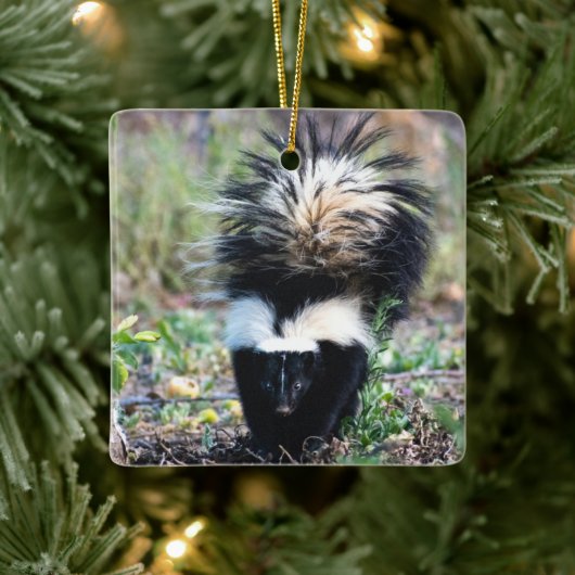 Skunk Black and White Keramisch Ornament (Boom)